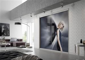 /shop/uploaded/ארון זכוכית עם איור2.jpg